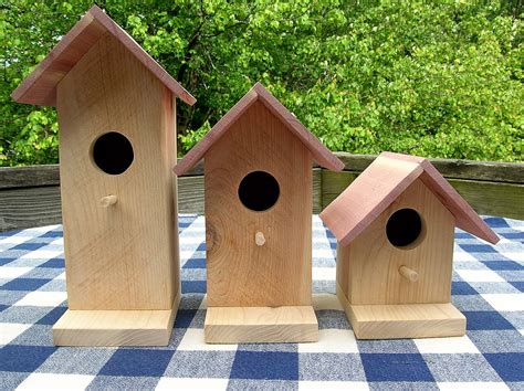 inexpensive bird houses unfinished